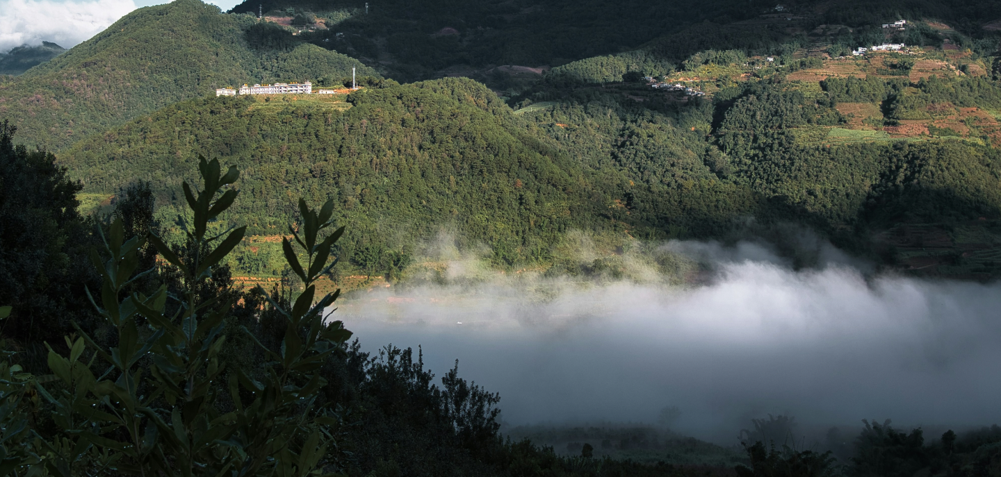 Location View 1